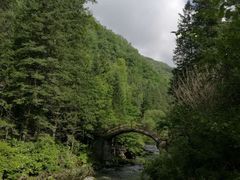 -望天鹅景区