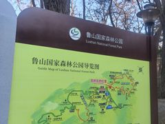 -鲁山国家森林公园