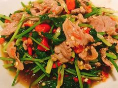 香菜炒牛肉-壹盏灯(惠农店)