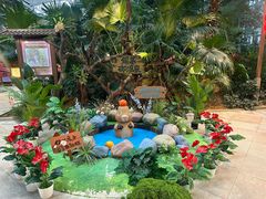 -郑州银基黄帝宫御温泉