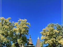 -北京石刻艺术博物馆(五塔寺)