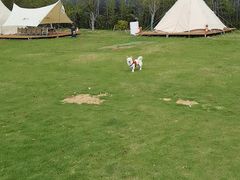 -不觉晓CAMPING(上海迪士尼营地店)