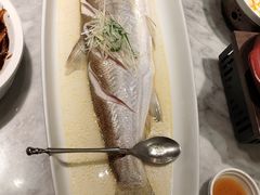 -苏帮袁Sue Cuisine(将台店)