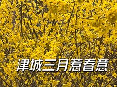 -天津五大道文化旅游区