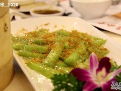 翡翠金酥贝-鼎泰丰(渔阳店)