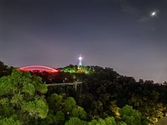 -金鸡山公园