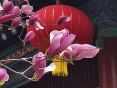 -潭柘寺景区