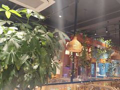 -金柱大盘鸡(波斯坦店)