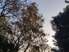 -新江湾城公园