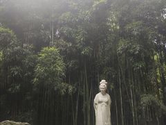 -望江楼公园