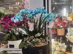-豆豆花艺(新光天地店)