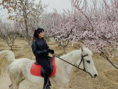 -丹世红酒庄·烧烤·团建·婚礼·水上运动