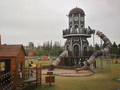 -上海长兴岛郊野公园