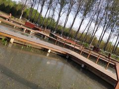 -东郊湿地公园