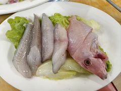 -金砂阿洲鱼册店