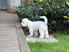 -一尺花园(安和花园店)