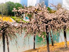 -白塘生态植物园