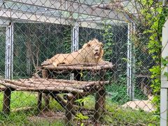 -合肥野生动物园