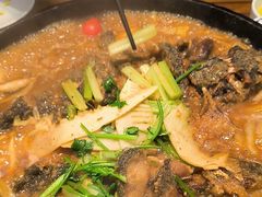 -老板恋上鱼(印象城店)