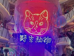 -武汉光谷K11