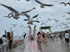 -西霞口神雕山野生动物世界