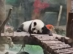 -青藏高原野生动物园