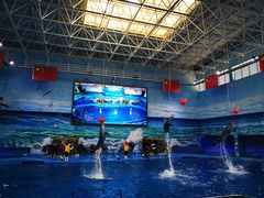 -多彩贵州城极地海洋世界