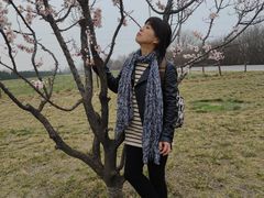 -汉长安城未央宫国家考古遗址公园