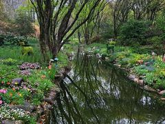 -上海共青森林公园