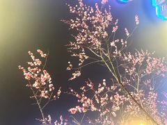 -段生记肉丸糊辣汤(西铁大明宫住宅小区店)