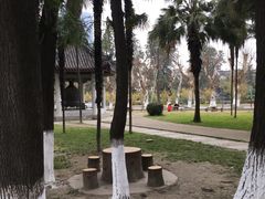 -四川大学(望江校区)