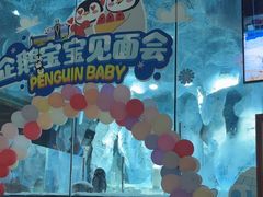 -帝企鹅自助餐厅•儿童岛•真企鹅(长隆企鹅酒店)