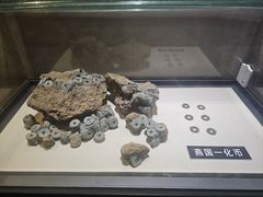 -张学良旧居陈列馆