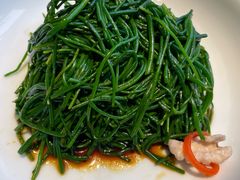 -蒙料·手把肉(望京店)