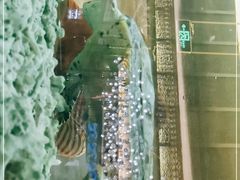 -海鼎荟海鲜姿造(晋江宝龙店)