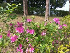 -广东花都湖国家湿地公园
