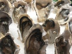 -四川江油戴斯大酒店