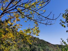 -北京西山国家森林公园