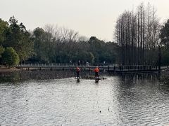 -长广溪湿地公园