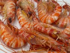 -富来美食(成发大厦店)