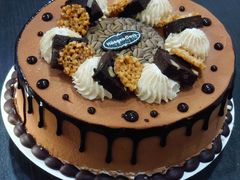 熔岩星球蛋糕冰淇淋-哈根达斯(宁波和义店)