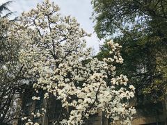-南京晨光1865创意产业园