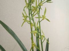 -九江美术馆