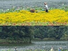 -广州市石门国家森林公园