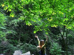 -藏龙百瀑风景区