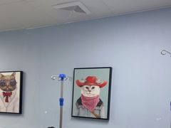 -纳吉亚猫专科动物诊疗中心(蒋宅口分院)