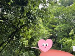 -敬亭山风景名胜区