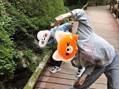 -牛背梁国家森林公园