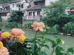 -小河直街历史文化街区