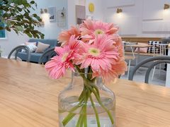 -CHEZ JASMINE 茉莉的氧气厨房